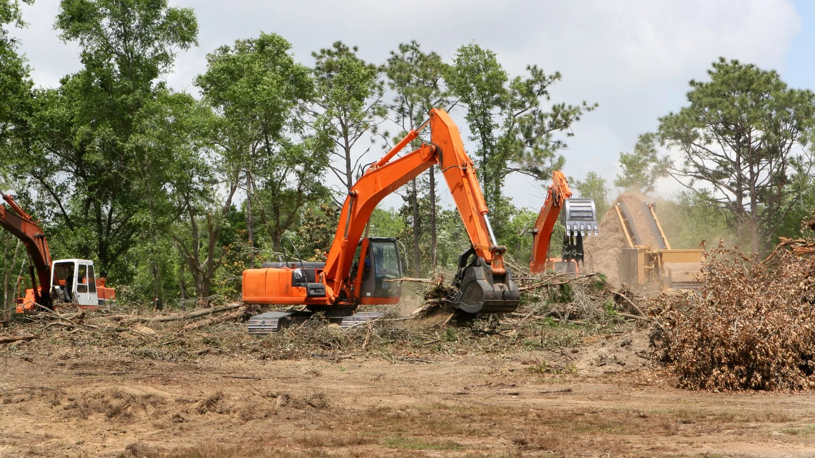 Orange excavators clearing trees and brush with wood debris piles on cleared land