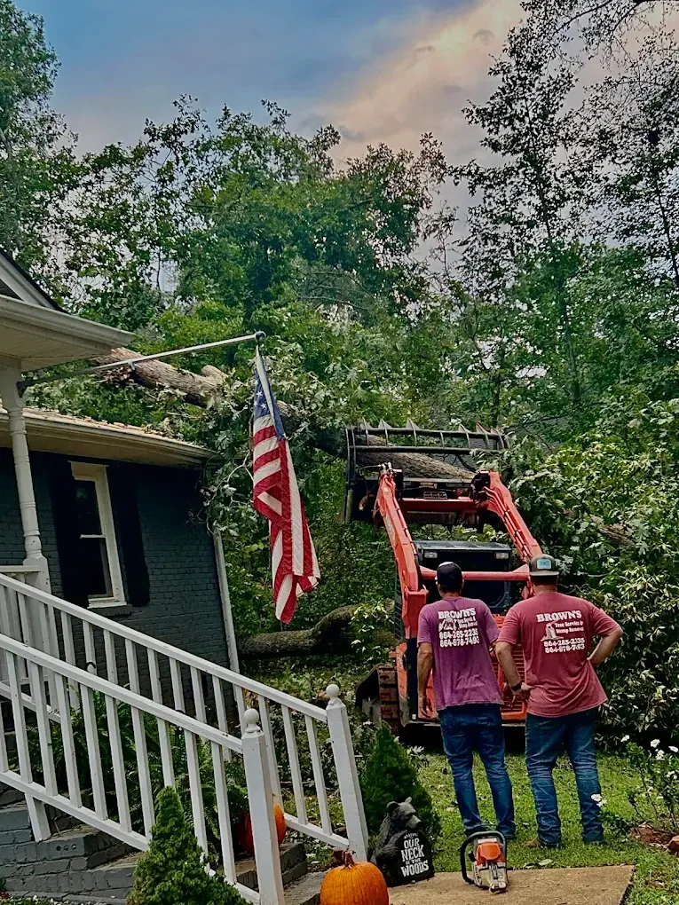 Bucket lift truck removing large trees from overgrown residential lot near house