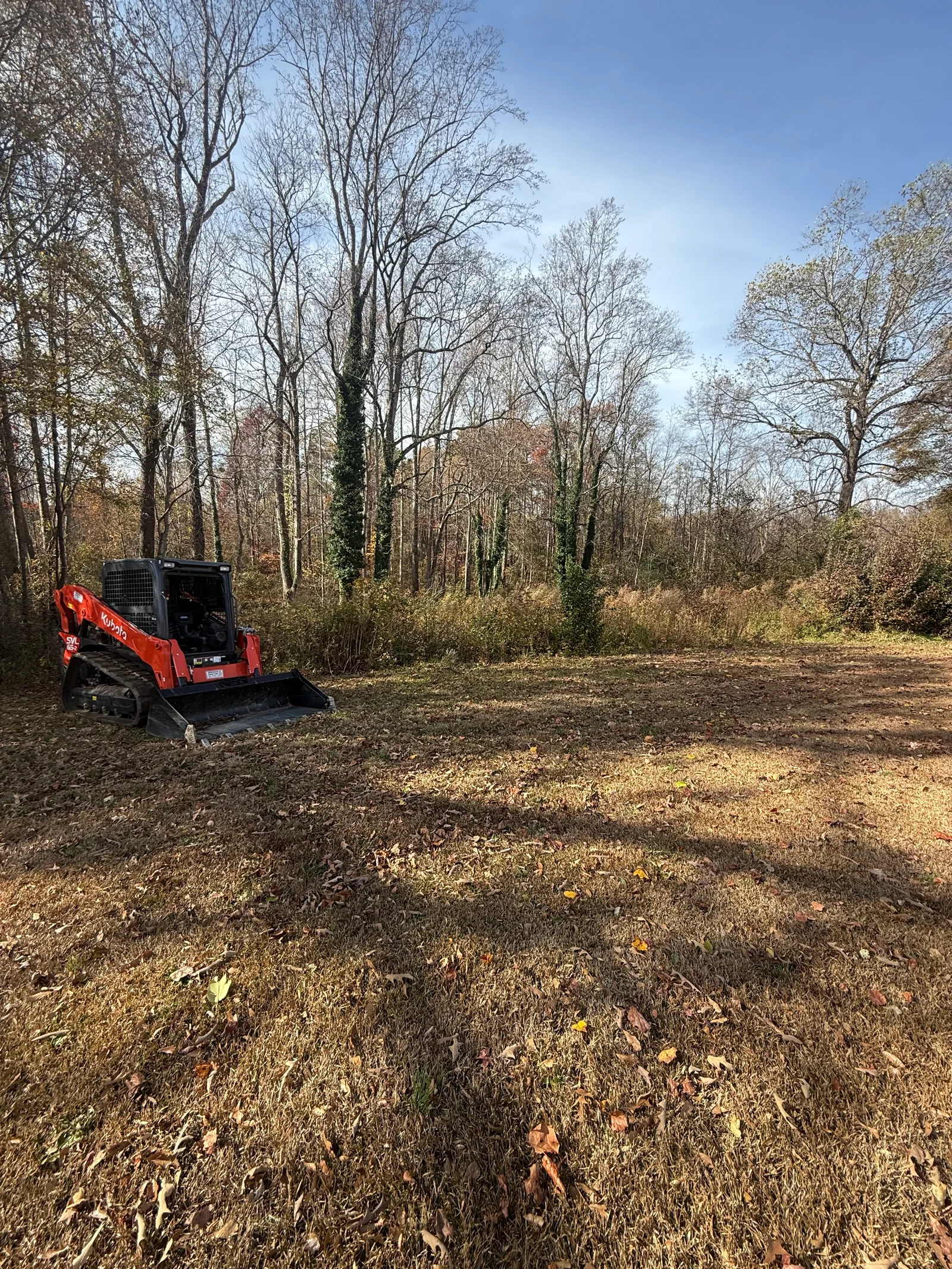 Red compact tracked loader clearing wooded lot with mature trees and brush removal