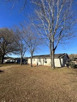 Cleared residential lot with tree stumps removed, bare ground, and remaining bare trees in background