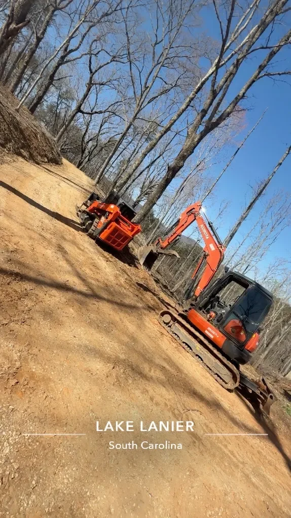 Mini excavator and dump truck clearing bare trees from sandy lot with heavy equipment