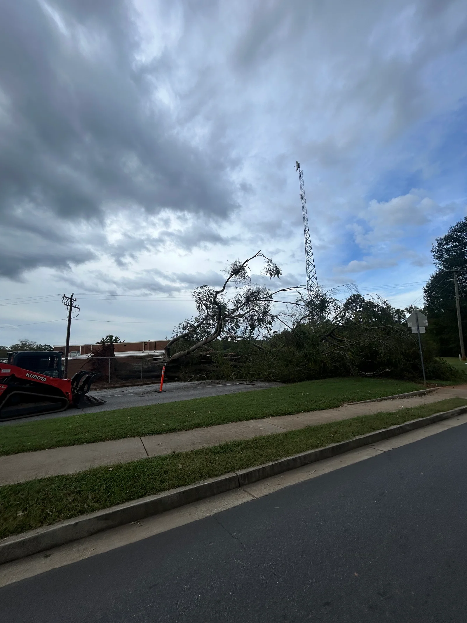 Uprooted tree removal with skid steer loader and debris management on residential lot