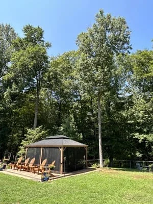 Gazebo structure on manicured lawn surrounded by mature trees