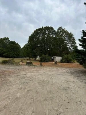 Cleared residential lot with removed tree stumps and graded soil, mature trees remaining in background