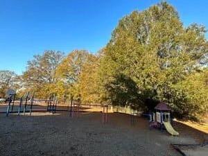 Open pasture with mature trees, fencing, and cleared ground area